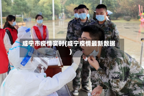 咸宁市疫情实时(咸宁疫情最新数据)-第2张图片
