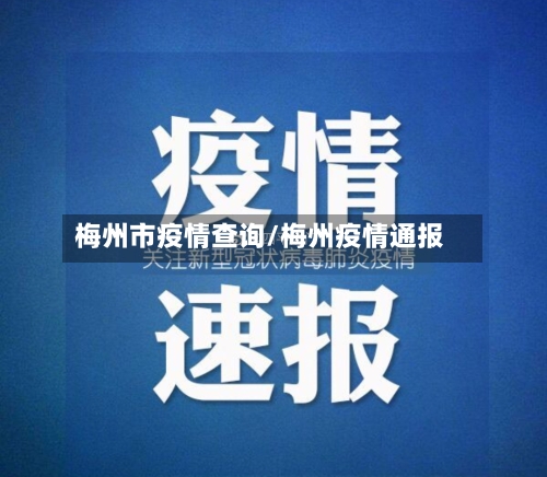 梅州市疫情查询/梅州疫情通报-第3张图片