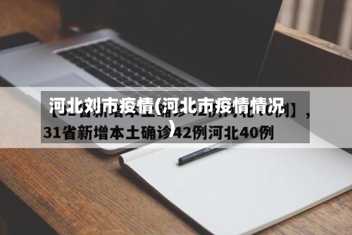 河北刘市疫情(河北市疫情情况)-第1张图片
