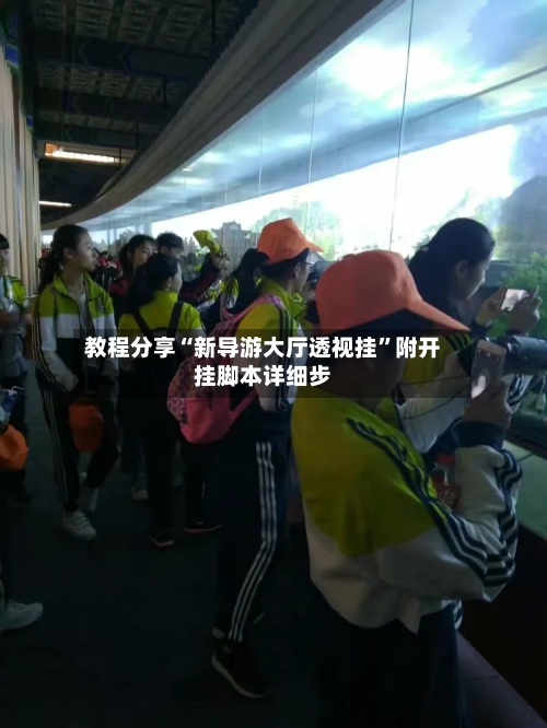 教程分享“新导游大厅透视挂”附开挂脚本详细步-第1张图片