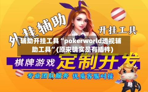 辅助开挂工具“pokerworld透视辅助工具”(原来确实是有插件)-第1张图片