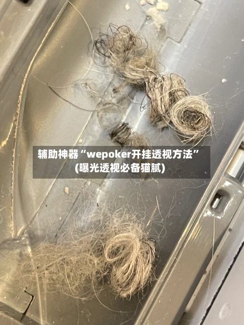辅助神器“wepoker开挂透视方法”(曝光透视必备猫腻)-第2张图片