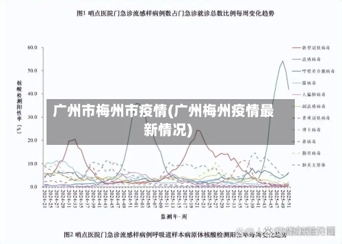 广州市梅州市疫情(广州梅州疫情最新情况)-第2张图片