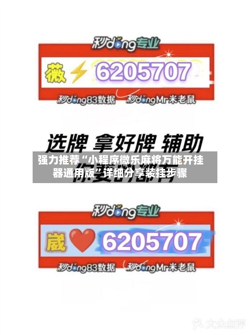 强力推荐“小程序微乐麻将万能开挂器通用版”详细分享装挂步骤-第3张图片