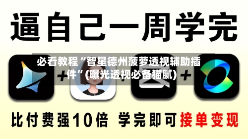 必看教程“智星德州菠萝透视辅助插件	”(曝光透视必备猫腻)-第2张图片