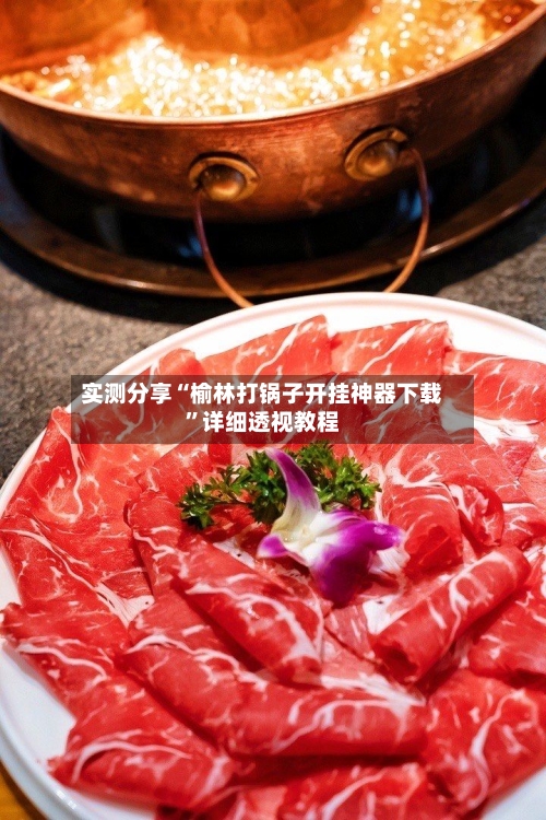 实测分享“榆林打锅子开挂神器下载”详细透视教程-第1张图片