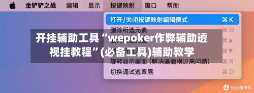 开挂辅助工具“wepoker作弊辅助透视挂教程”(必备工具)辅助教学-第2张图片