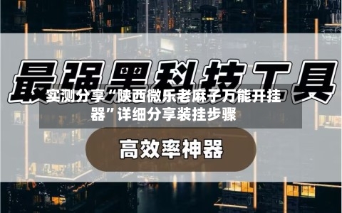 实测分享“陕西微乐老麻子万能开挂器”详细分享装挂步骤-第1张图片