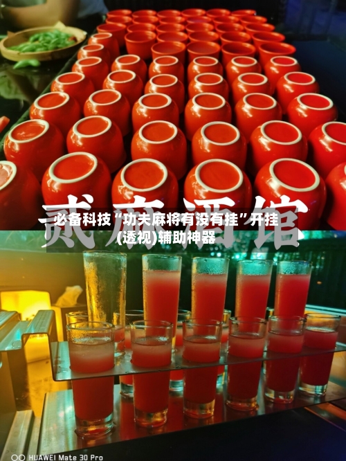 必备科技“功夫麻将有没有挂”开挂(透视)辅助神器-第3张图片