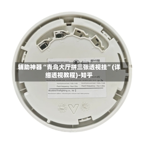 辅助神器“青鸟大厅拼三张透视挂	”(详细透视教程)-知乎-第1张图片