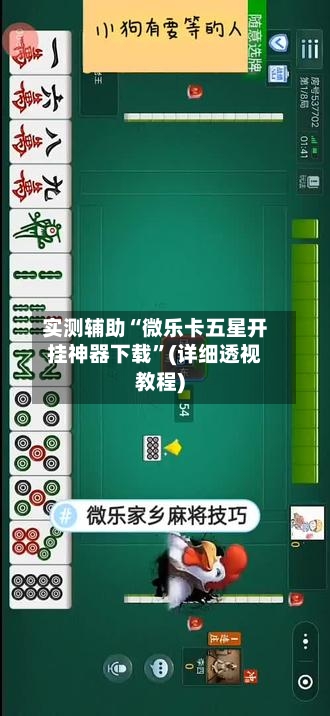 实测辅助“微乐卡五星开挂神器下载”(详细透视教程)-第3张图片