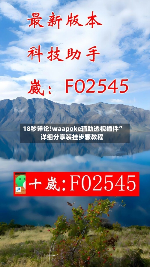 18秒详论!waapoke辅助透视插件”详细分享装挂步骤教程-第3张图片