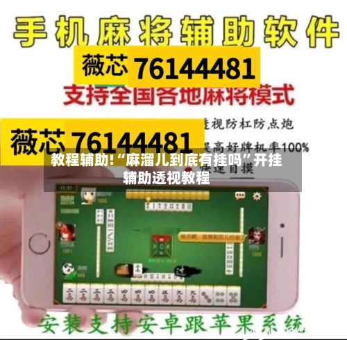 教程辅助!“麻溜儿到底有挂吗	”开挂辅助透视教程-第2张图片