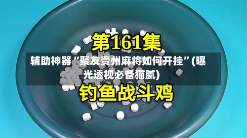 辅助神器“聚友贵州麻将如何开挂”(曝光透视必备猫腻)-第1张图片