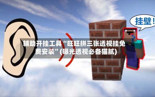 辅助开挂工具“旺旺拼三张透视挂免费安装	”(曝光透视必备猫腻)-第1张图片