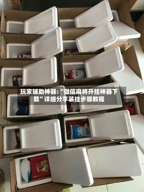 玩家辅助神器:“微信麻将开挂神器下载”详细分享装挂步骤教程-第1张图片
