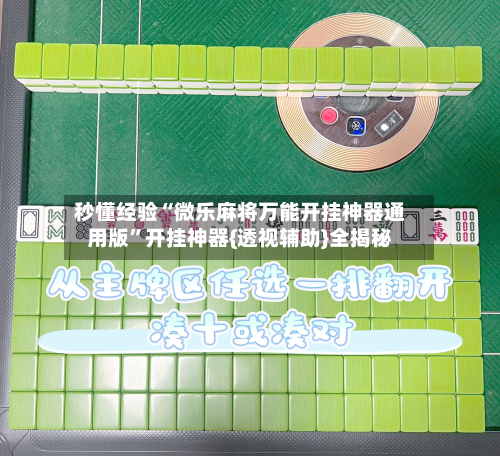 秒懂经验“微乐麻将万能开挂神器通用版”开挂神器{透视辅助}全揭秘-第1张图片