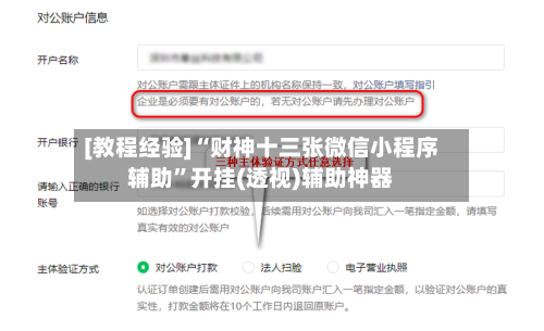 [教程经验]“财神十三张微信小程序辅助”开挂(透视)辅助神器-第1张图片