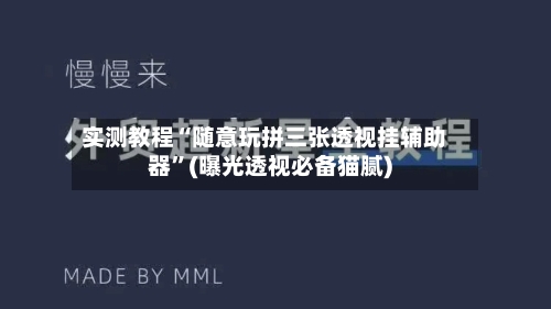 实测教程“随意玩拼三张透视挂辅助器”(曝光透视必备猫腻)-第1张图片
