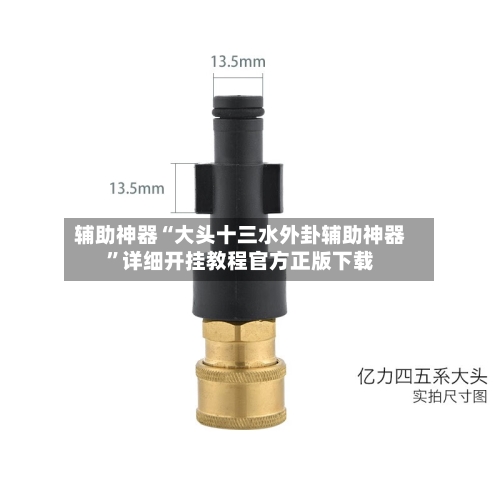 辅助神器“大头十三水外卦辅助神器”详细开挂教程官方正版下载-第3张图片