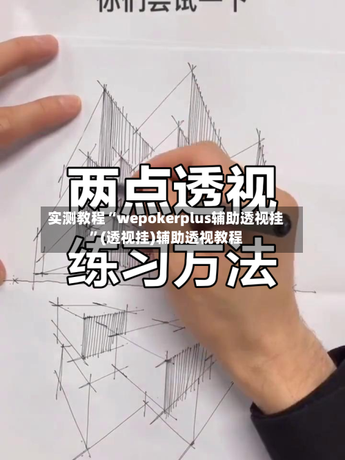 实测教程“wepokerplus辅助透视挂”(透视挂)辅助透视教程-第1张图片