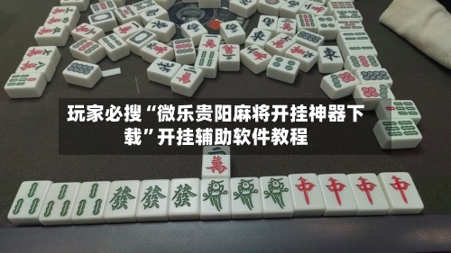 玩家必搜“微乐贵阳麻将开挂神器下载”开挂辅助软件教程-第3张图片