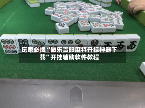 玩家必搜“微乐贵阳麻将开挂神器下载”开挂辅助软件教程-第1张图片