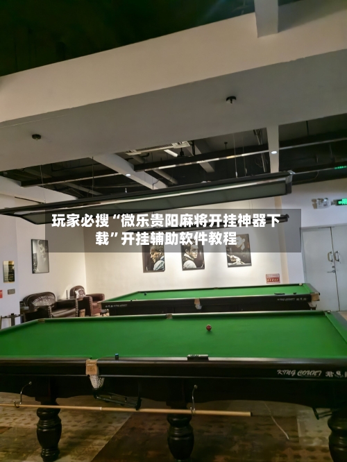 玩家必搜“微乐贵阳麻将开挂神器下载	”开挂辅助软件教程-第2张图片