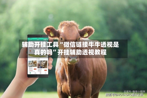辅助开挂工具“微信链接牛牛透视是真的吗”开挂辅助透视教程-第1张图片