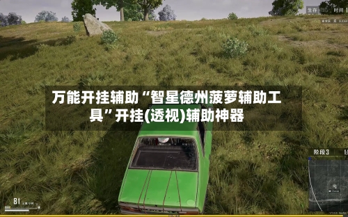 万能开挂辅助“智星德州菠萝辅助工具”开挂(透视)辅助神器-第1张图片
