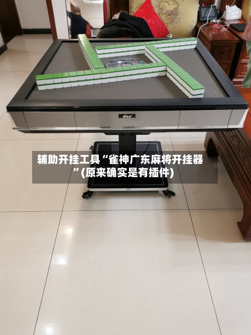 辅助开挂工具“雀神广东麻将开挂器”(原来确实是有插件)-第3张图片