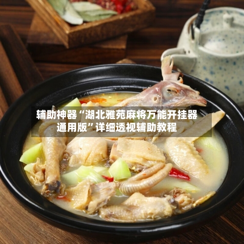 辅助神器“湖北雅苑麻将万能开挂器通用版	”详细透视辅助教程-第1张图片
