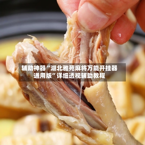辅助神器“湖北雅苑麻将万能开挂器通用版”详细透视辅助教程-第2张图片