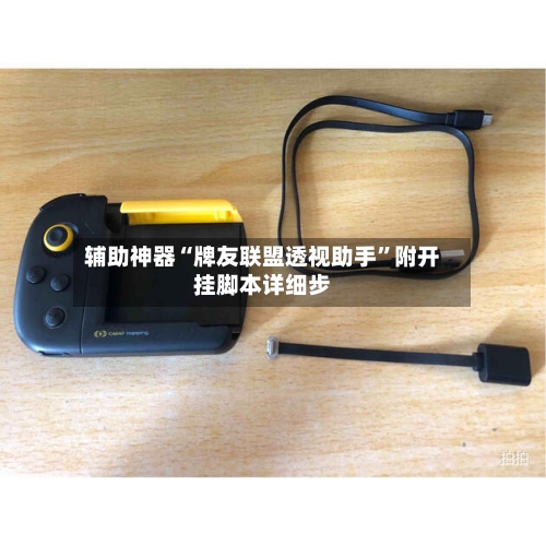 辅助神器“牌友联盟透视助手”附开挂脚本详细步-第1张图片