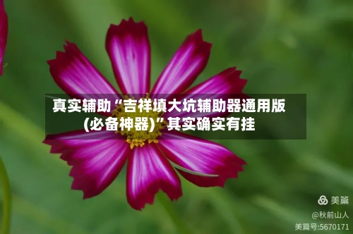 真实辅助“吉祥填大坑辅助器通用版(必备神器)	”其实确实有挂-第1张图片