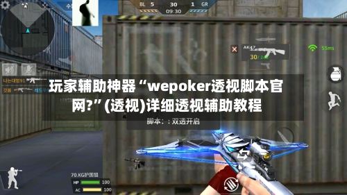 玩家辅助神器“wepoker透视脚本官网?”(透视)详细透视辅助教程-第3张图片