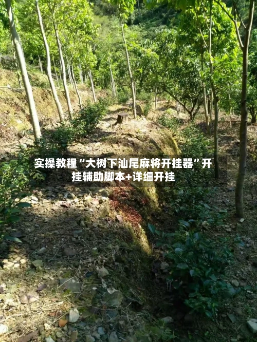 实操教程“大树下汕尾麻将开挂器”开挂辅助脚本+详细开挂-第1张图片