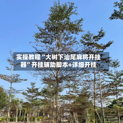 实操教程“大树下汕尾麻将开挂器”开挂辅助脚本+详细开挂-第2张图片
