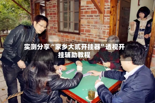 实测分享“家乡大贰开挂器	”透视开挂辅助教程-第1张图片