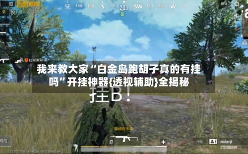 我来教大家“白金岛跑胡子真的有挂吗”开挂神器{透视辅助}全揭秘-第2张图片