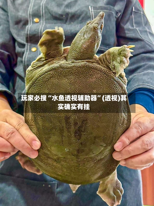 玩家必搜“水鱼透视辅助器”(透视)其实确实有挂-第1张图片