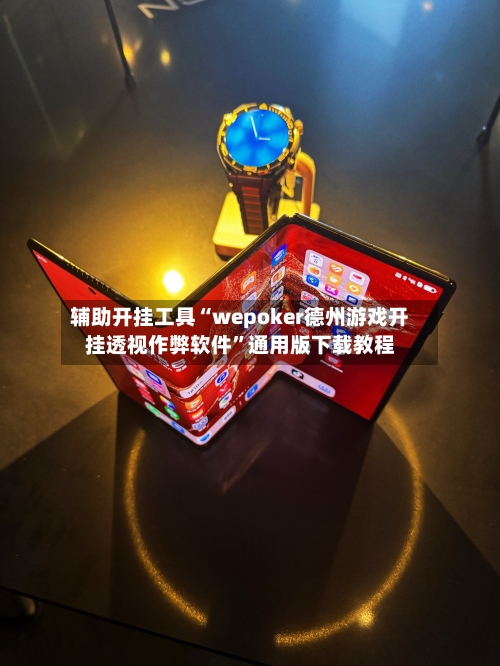 辅助开挂工具“wepoker德州游戏开挂透视作弊软件	”通用版下载教程-第2张图片