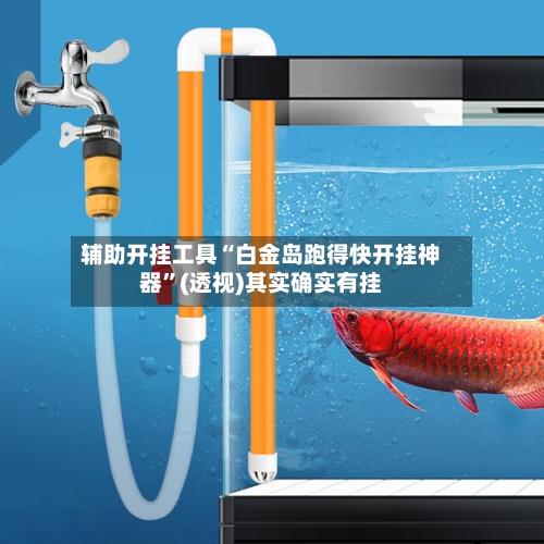 辅助开挂工具“白金岛跑得快开挂神器”(透视)其实确实有挂-第1张图片