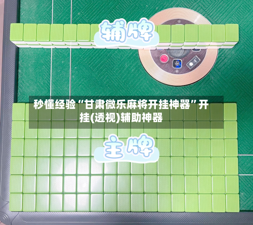 秒懂经验“甘肃微乐麻将开挂神器	”开挂(透视)辅助神器-第2张图片