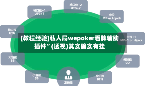 [教程经验]私人局wepoker看牌辅助插件”(透视)其实确实有挂-第3张图片