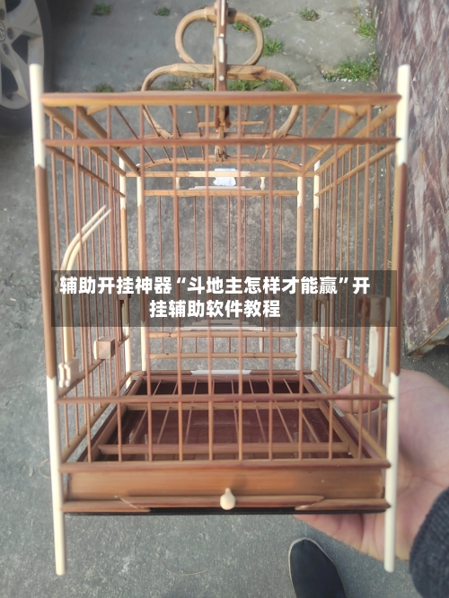 辅助开挂神器“斗地主怎样才能赢”开挂辅助软件教程-第3张图片
