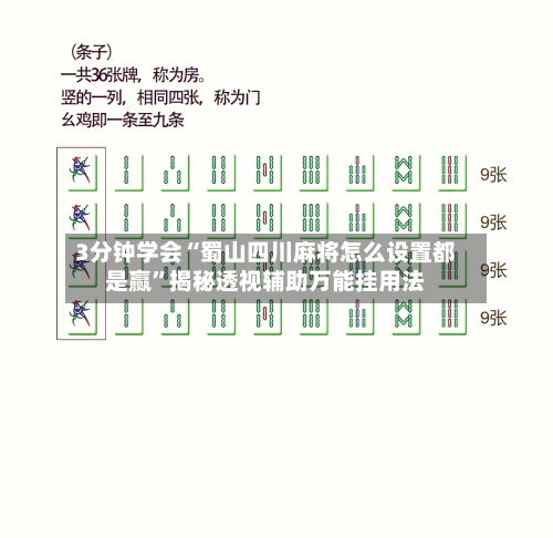 3分钟学会“蜀山四川麻将怎么设置都是赢”揭秘透视辅助万能挂用法-第1张图片