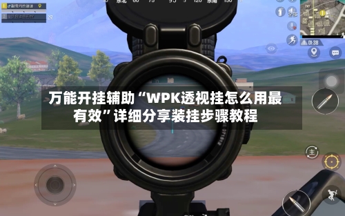 万能开挂辅助“WPK透视挂怎么用最有效”详细分享装挂步骤教程-第2张图片