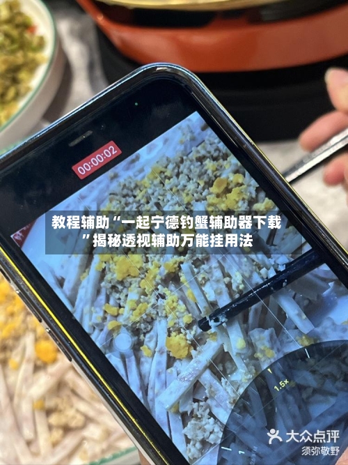 教程辅助“一起宁德钓蟹辅助器下载”揭秘透视辅助万能挂用法-第2张图片