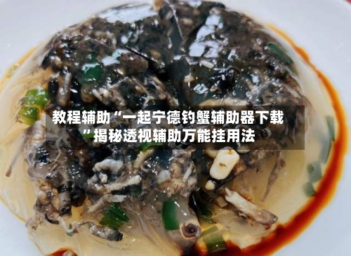 教程辅助“一起宁德钓蟹辅助器下载	”揭秘透视辅助万能挂用法-第1张图片